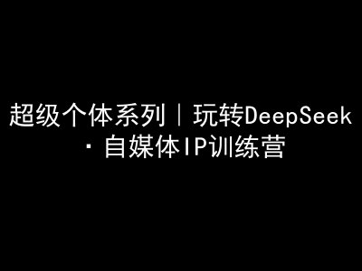 超级个体系列，玩转DeepSeek·自媒体IP训练营，deepseek教程-聊项目