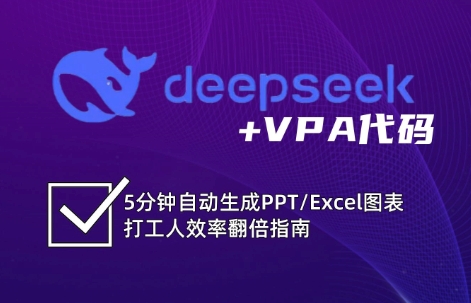 DeepSeek从入门到精通：解锁Excel和VBA高效办公新技能-聊项目