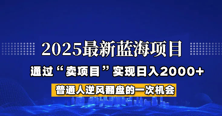 2025年蓝海项目，如何通过“网创项目”日入2000+-聊项目