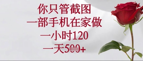 你只管截图，一部手机在家操作，一小时120.一天5张【揭秘】-聊项目