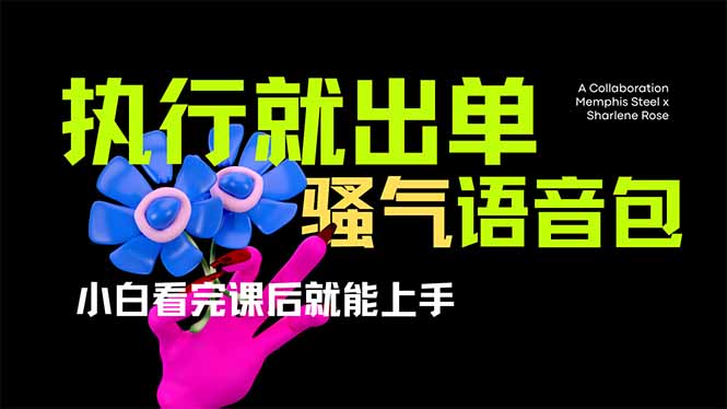 爆火全网的开车导航骚气语音包,只要执行就出单，小白看完课程就能实操…-聊项目