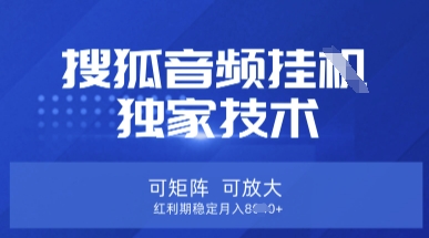 【搜狐音频挂G】独家技术，可矩阵可放大，红利期稳定月入8k【揭秘】-聊项目