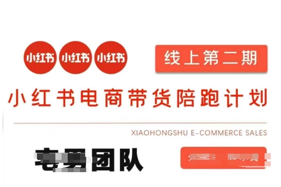 小红书电商带货课2期，月利润20个的小红书电商的有货源，无货源，虚拟产品，付费投流等整套玩法-聊项目