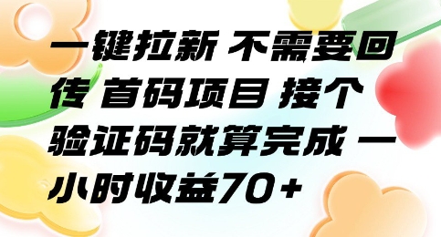 一键拉新 不需要回传 首码项目 接个验证码就算完成 一小时收益70+【揭秘】-聊项目