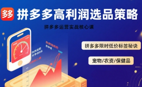 拼多多选品暴利技术实战课，拼多多高利润选品策略，拼多多限时低价标签秘诀-聊项目