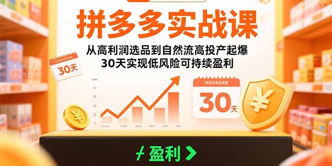 拼多多实战课：从高利润选品到自然流高投产起爆 30天实现低风险可持续盈利-聊项目
