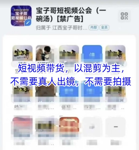 宝子哥头部团队短视频带货，以混剪为主，不需要真人出镜，不需要拍摄【更新8月】-聊项目
