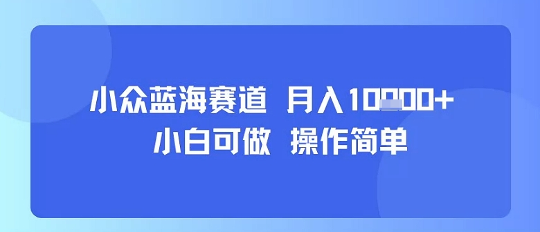 小众蓝海赛道，小白可做，操作简单，每天30分钟，月入1W+-聊项目