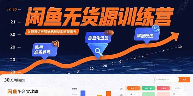 闲鱼无货源训练营：账号准备养号/垂直化选品/黑搜玩法，0基础30天盈利指南-聊项目