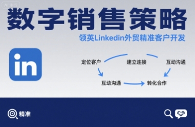 数字销售策略领英LinkedIn外贸精准客户开发-聊项目