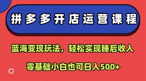 拼多多开店运营课程：蓝海变现玩法，轻松实现睡后收入，零基础小白也可日入5张-聊项目
