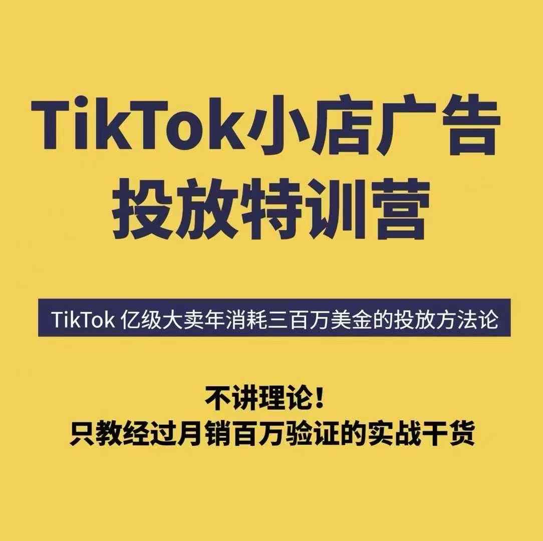 TikTok小店广告投放特训营，6天破局计划专治各种“投不动”，教你经过月销百万验证的实战干货-聊项目