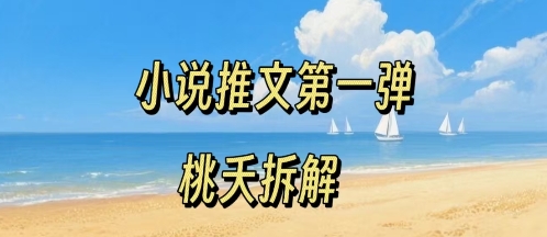 小说推文项目操作全流程第一弹，0粉就能做，门槛低非常适合新手-聊项目