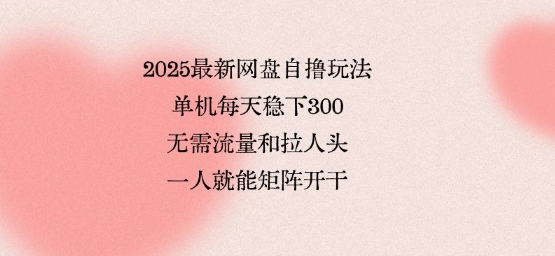2025最新网盘自撸玩法,单机每天稳下3张,无需流量和拉人头,一个人就可轻松矩阵,全网独一份【揭秘】-聊项目