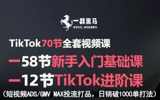 TikTok全套视频课，新手入门+进阶课，短视频ADS-GMV MAX投流打品，日销破1000单打法-聊项目