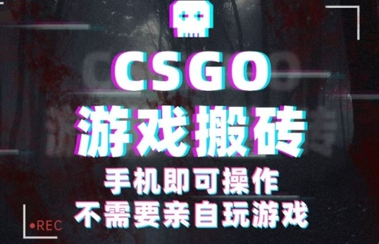 CSGO游戏挂G捡漏，单日扫货5张+，年底小高峰上车可吃肉，手机即可操作，兼职副业创业网创【揭秘】-聊项目