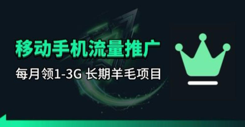 手机流量领取推广_每月一轮，刚需类的长期项目-聊项目